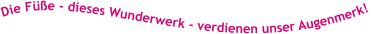 Die Füße - dieses Wunderwerk - verdienen unser Augenmerk!